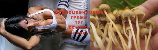МДПВ Алексеевка