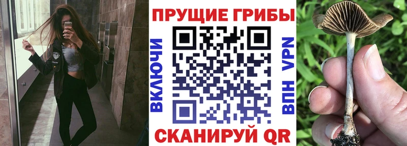 Галлюциногенные грибы GOLDEN TEACHER  где купить наркоту  Лысьва 
